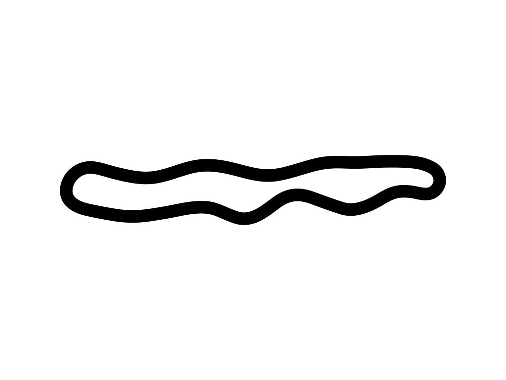 Hethel Test Track South Loop Decal - White - 5cm