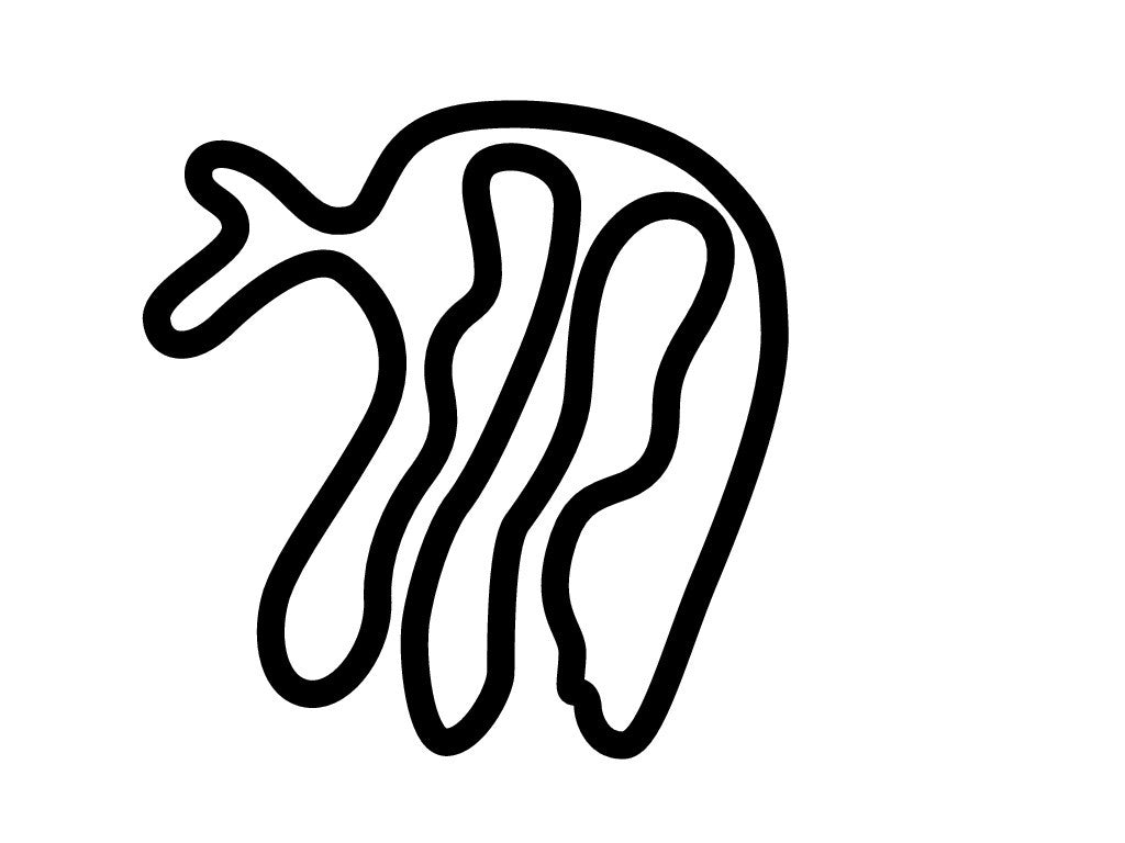 Mecaglisse Circuit Decal - White - 5cm